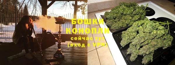 стаф Белокуриха