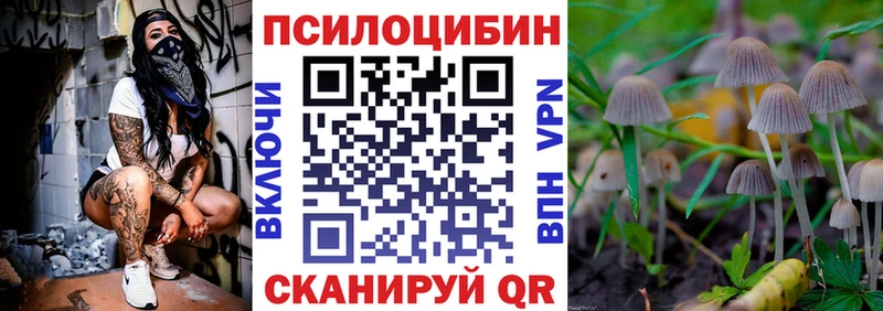 Галлюциногенные грибы Psilocybine cubensis  Купить где  Грайворон 